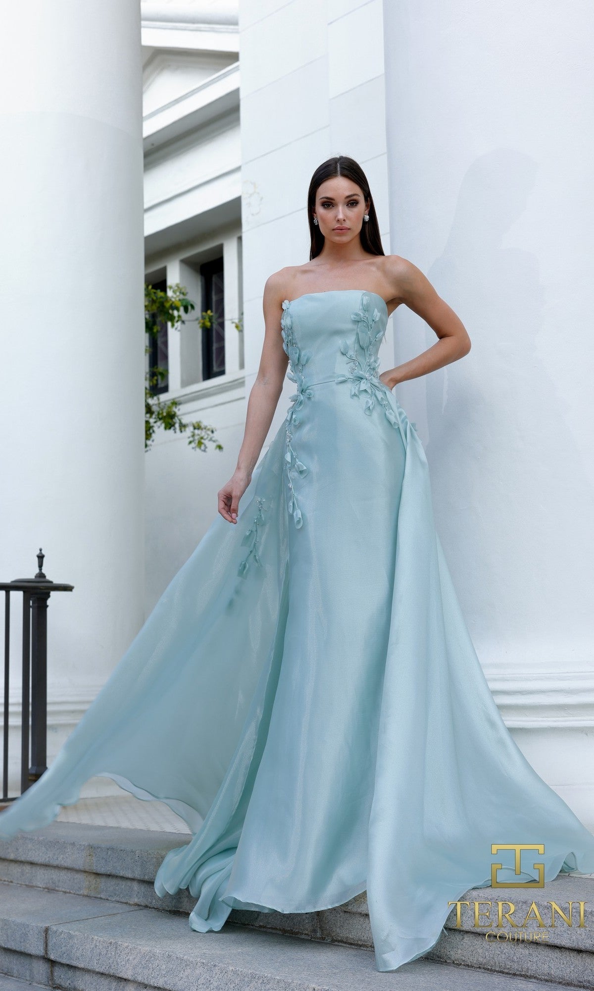 A woman stands on stone steps wearing the Terani 261E6195 long formal dress in sage, featuring floral embellishments and a flowing skirt. White pillars and walls are visible in the background.